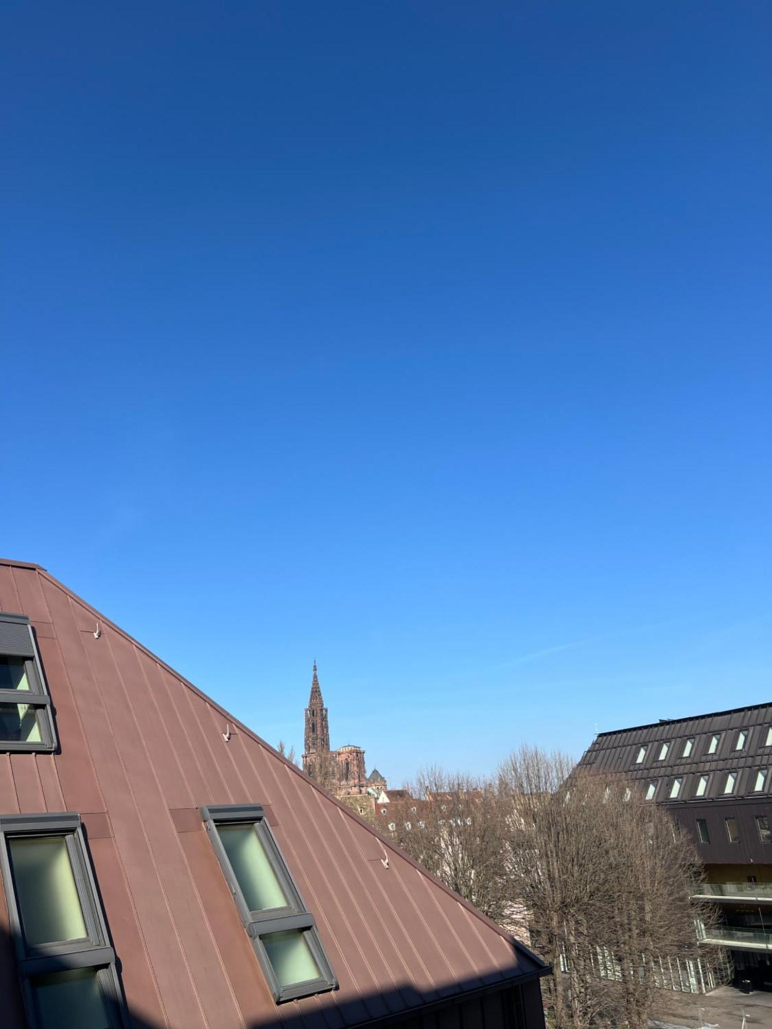 Nid Calme Centrale Petite France Strasbourg Extérieur photo
